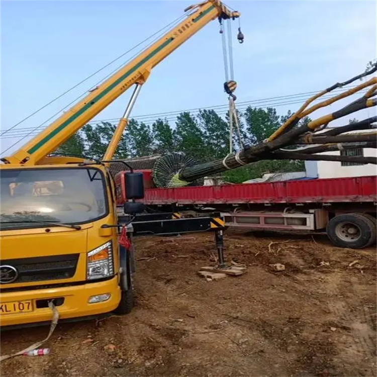 赤壁100吨吊车租赁费用怎么算？3大关键因素+省钱技巧全解析